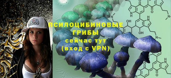 ПСИЛОЦИБИНОВЫЕ ГРИБЫ Волосово