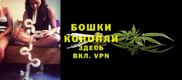 ПСИЛОЦИБИНОВЫЕ ГРИБЫ Волосово