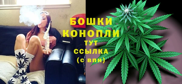 молекула духа Верея
