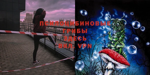 ПСИЛОЦИБИНОВЫЕ ГРИБЫ Волосово