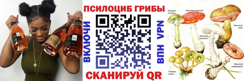 Галлюциногенные грибы Cubensis  Зубцов 